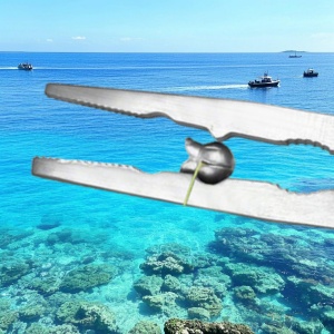fishing pliers
