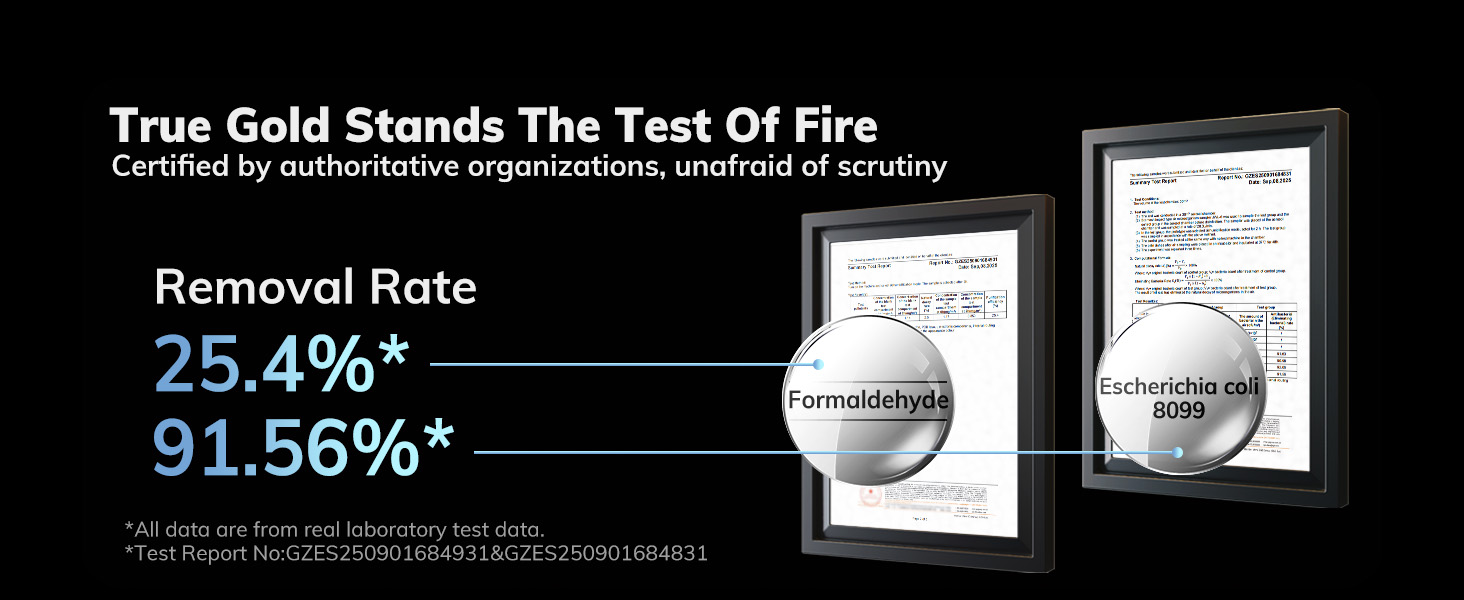 Zeolite: Certified