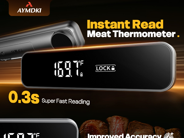 thermometer for cooking