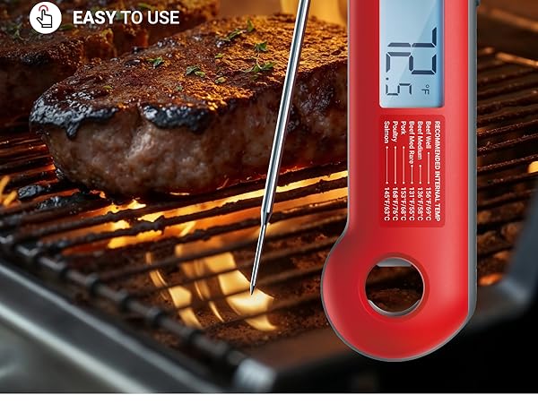 meat thermometer