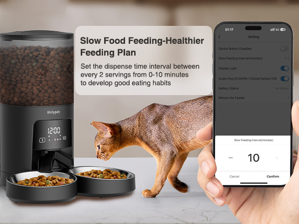 automatic cat food dispenser