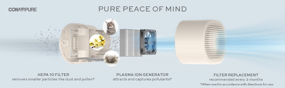 HEPA 10 Filter, Plasma Ion Generator, Filter Replacement