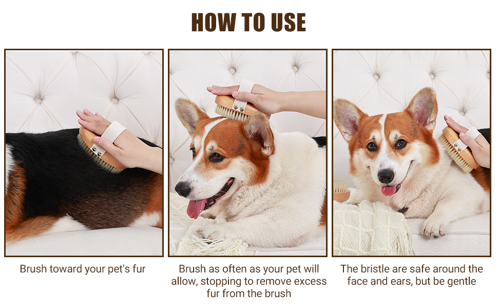 short hair dog brush
