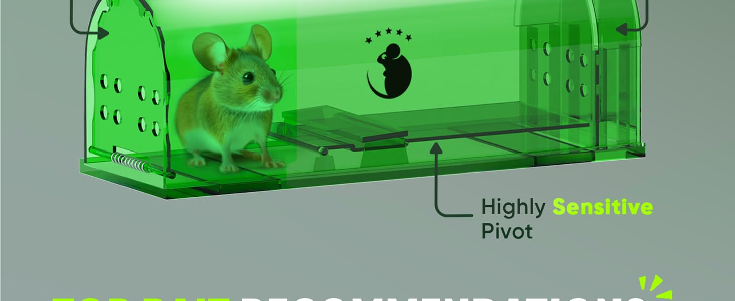 Humane Mouse Trap