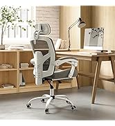 Sweetcrispy Office Computer Desk Chair with Footrest,Ergonomic High-Back Mesh Rolling Work Swivel...