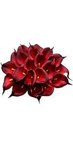 https://m.media-amazon.com/images/S/aplus-media-library-service-media/5f7f3952-7608-42e1-9054-c7139c36c193.__AC_SR150,300___.jpg