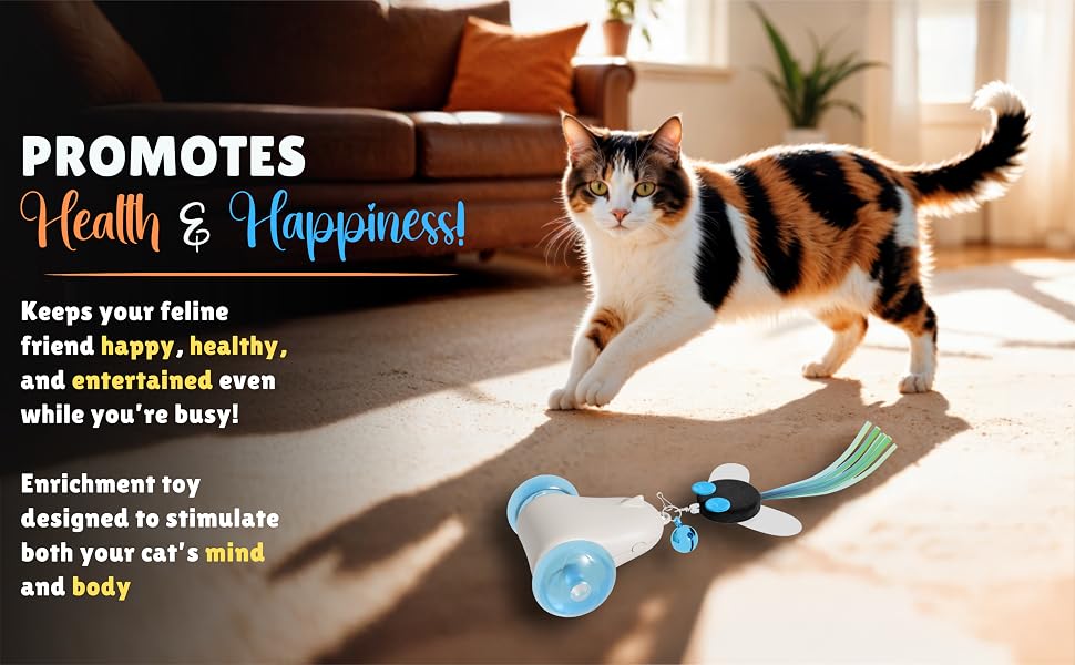 moving cat toy indoor electronic automated cat play stimulating enrichment activity center