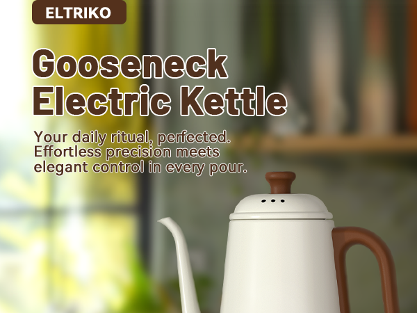 kettle electric stainless steel