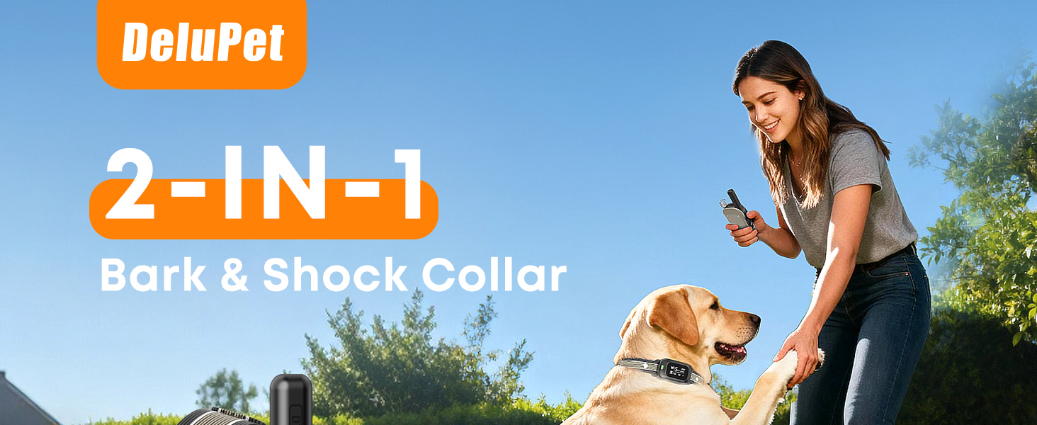 shock collar for dogs