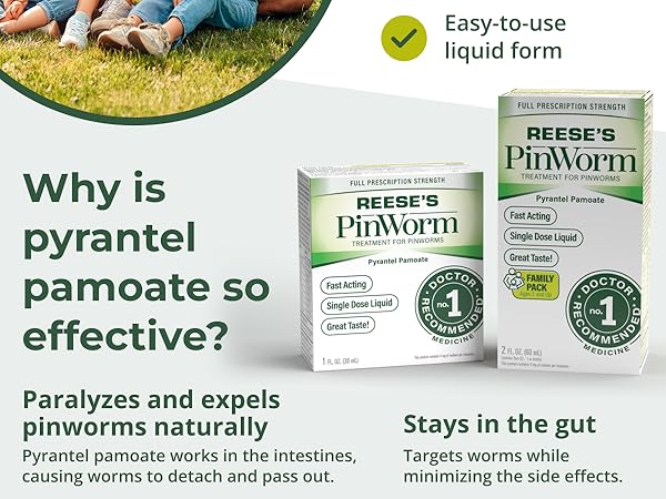 Parasite cleanse for humans