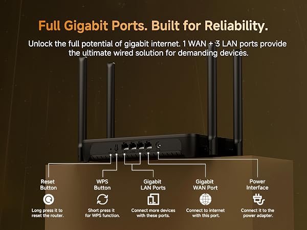 10/100/1000Mbps Gigabit Ethernet Ports