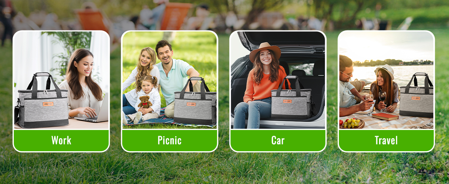 tote bag with lunch compartment