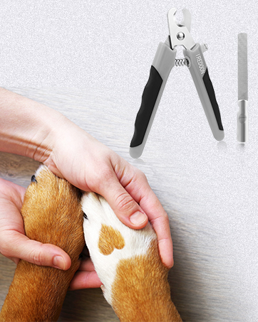 nail clippers for dogs