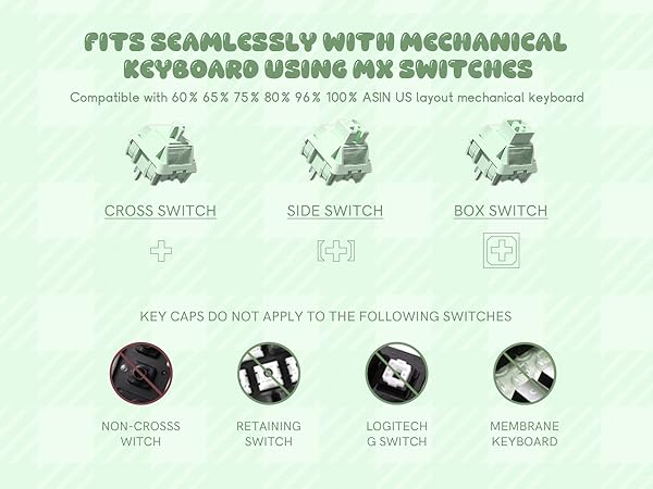 MX switches