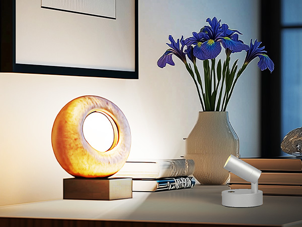 artwork spotlight indoor