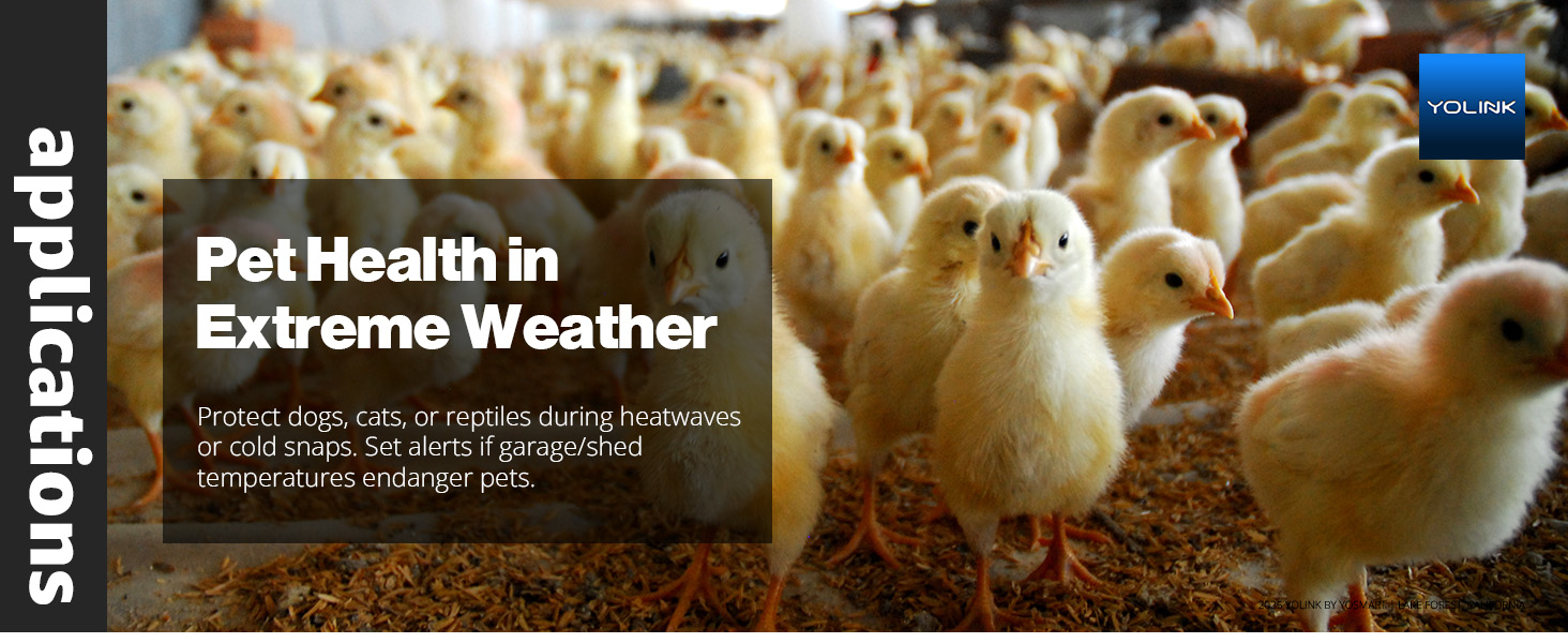 Pet Health in Extreme Weather