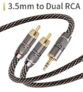 3.5mm to Dual RCA