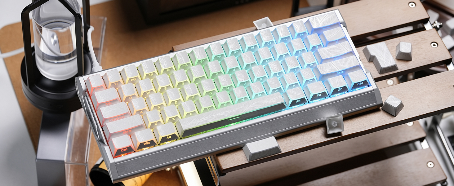 RGB Effect