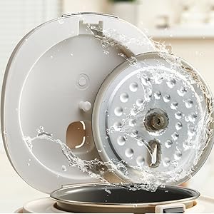 mini rice cooker