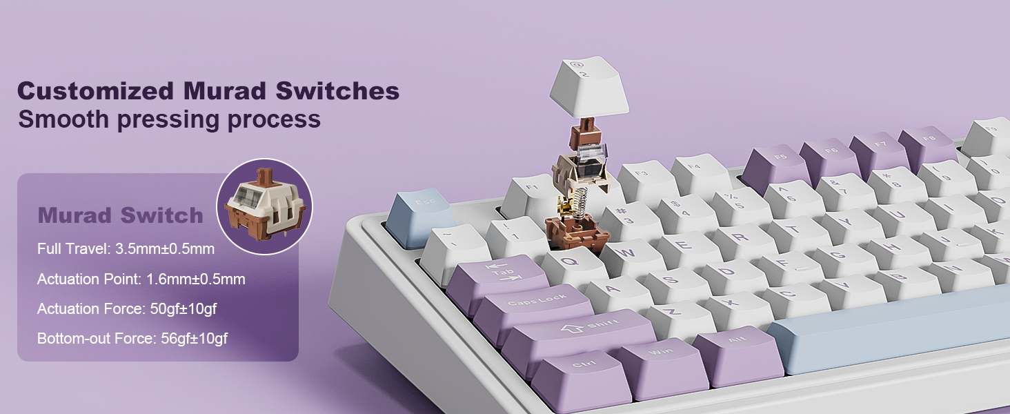 AK980 Mechanical Keyboard