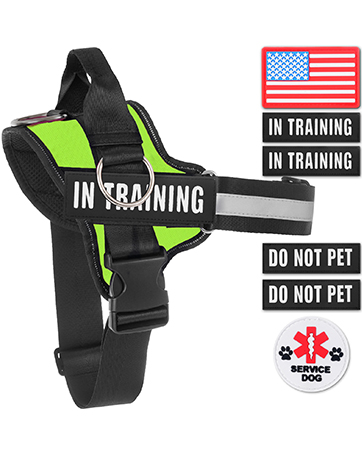 harness