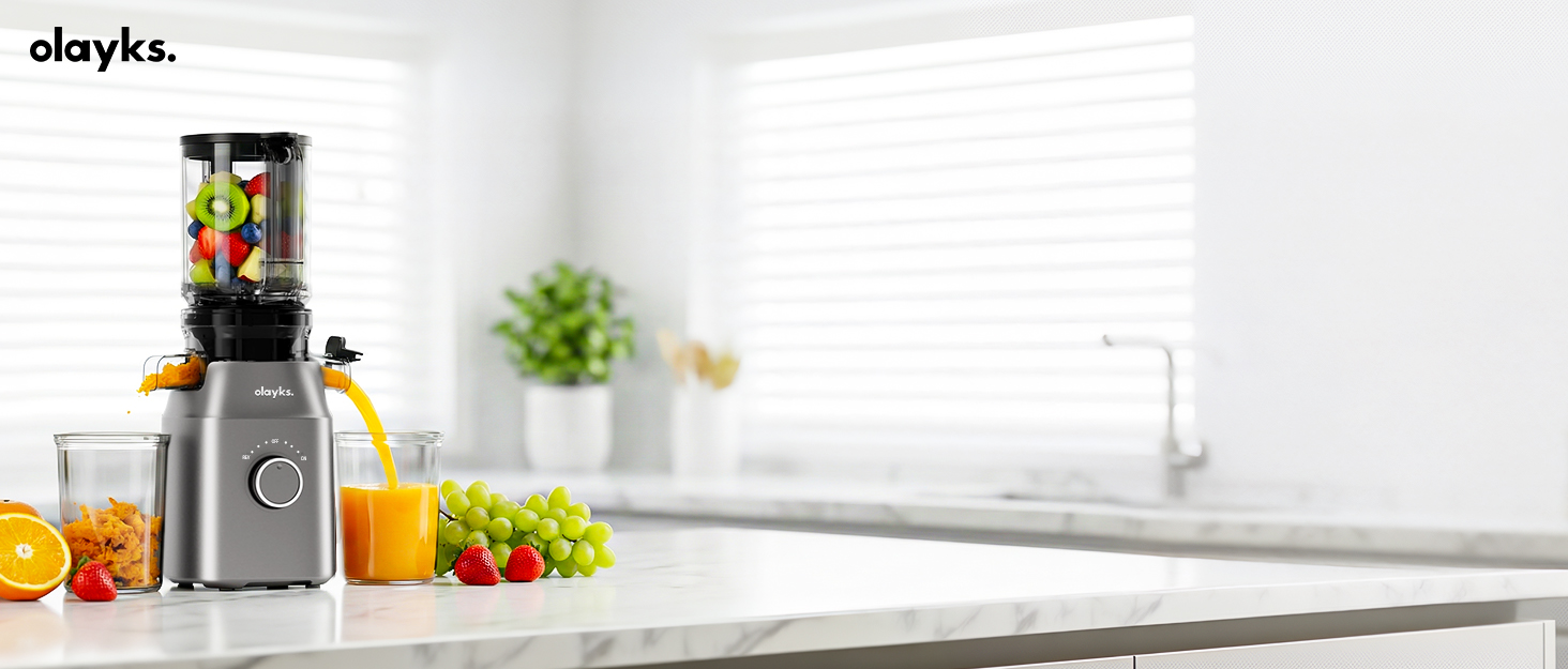 olayks juicer machine