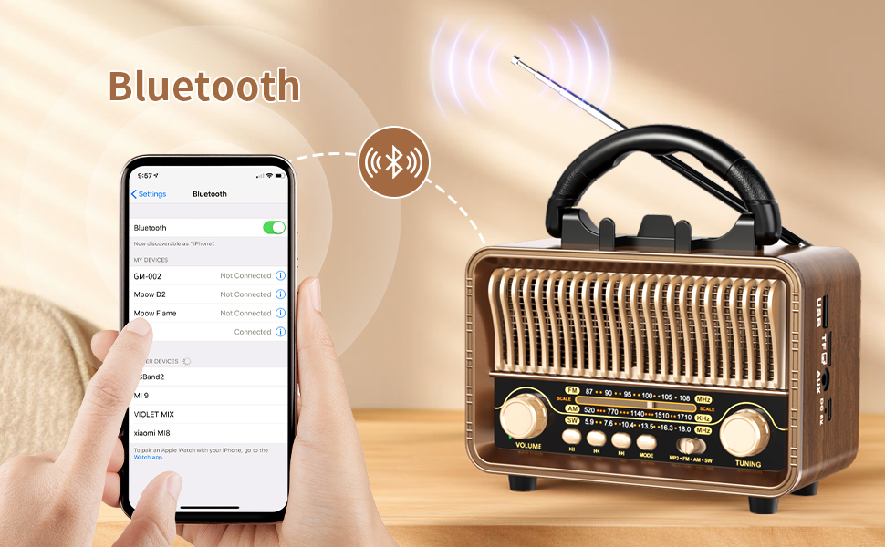 Portable Bluetooth Speaker