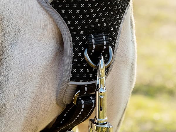 escape proof dog harness