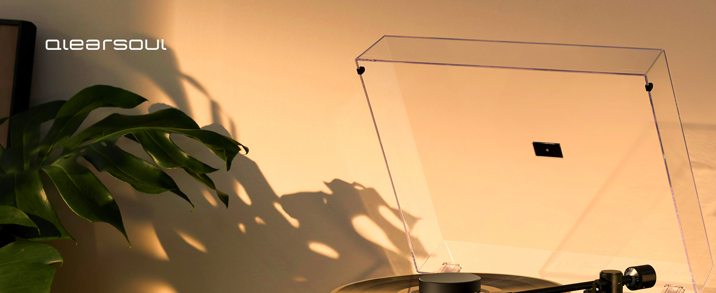 record weight stabilizer