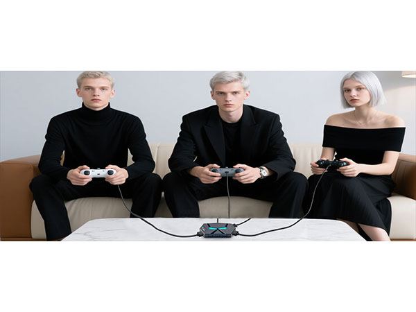 multi port usb hub for simultaneously use 