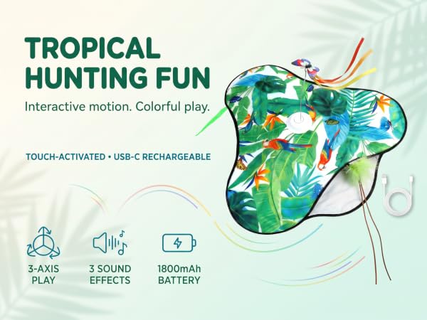 interactive cat toy