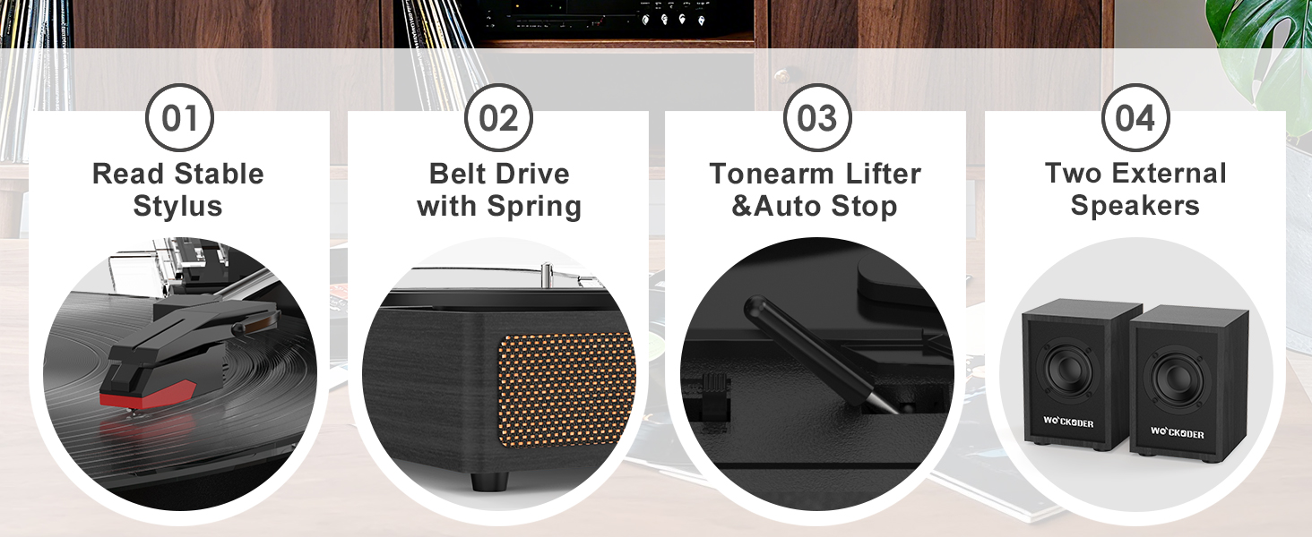turntable for vinyl records