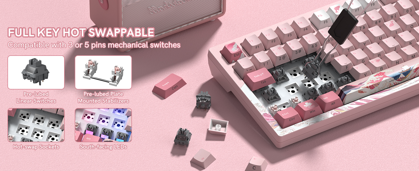 FULL KEY HOT SWAPPABLE