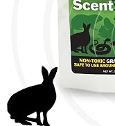 safe frog possum outdoors chipmunk cat yard keep raccoons motion detector sprinkler concentrate cats