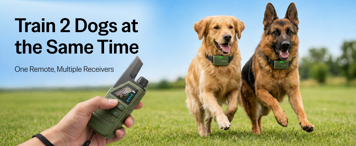remote dog training collar for 2 dogs waterproof rechargeable with dual dog training control
