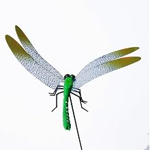3D Dragonfly Clips