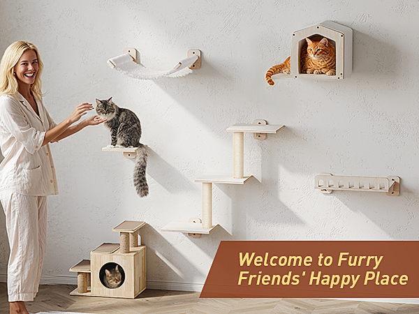 cat wall shelves