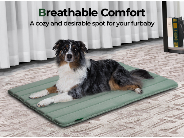 Dog Crate Mat