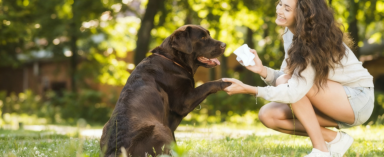 pet care