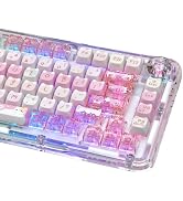 TYRIXKI 26 Keys Crystal Jelly Personalized Keycaps, PC Material Cute Meow Meow Squad Transparent ...