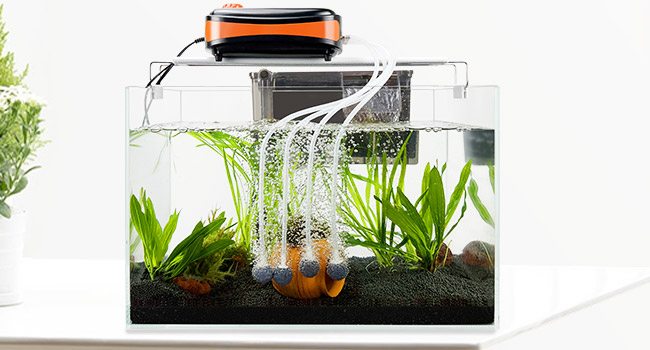 No check valve is needed