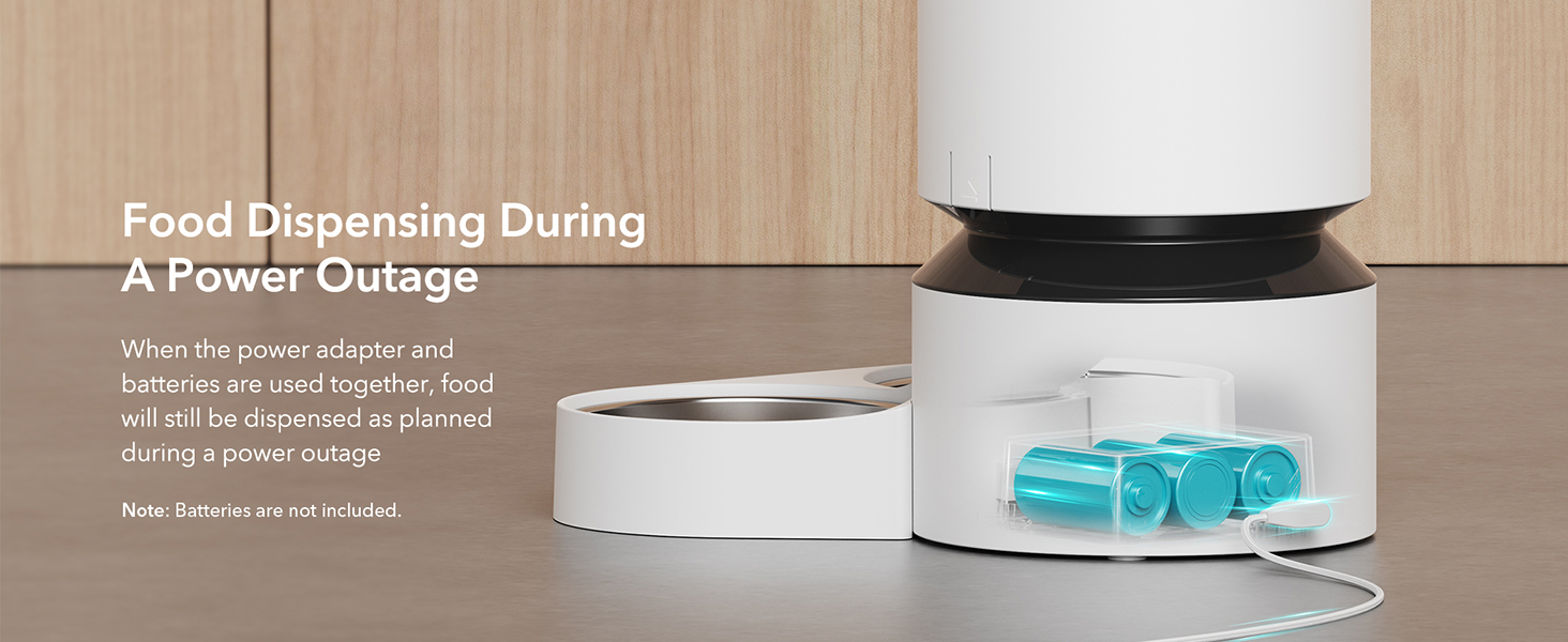 automatic cat feeder