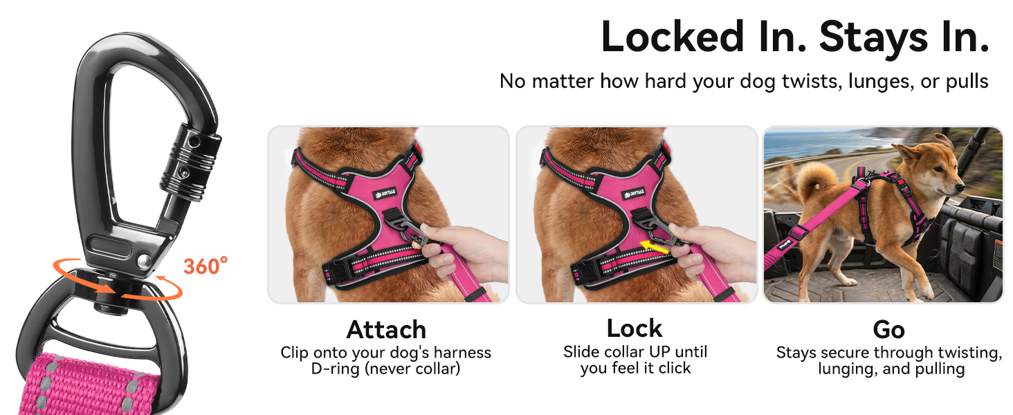 dog seat belt for car