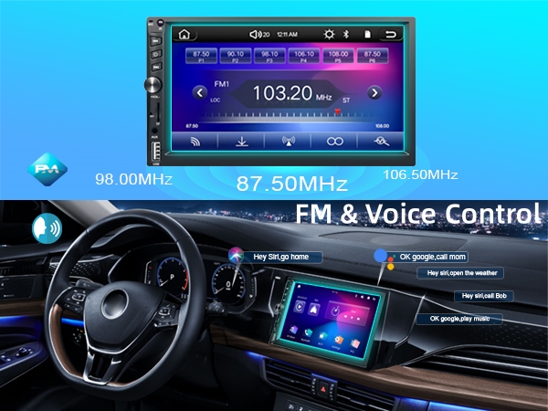 FM&amp;Voice control