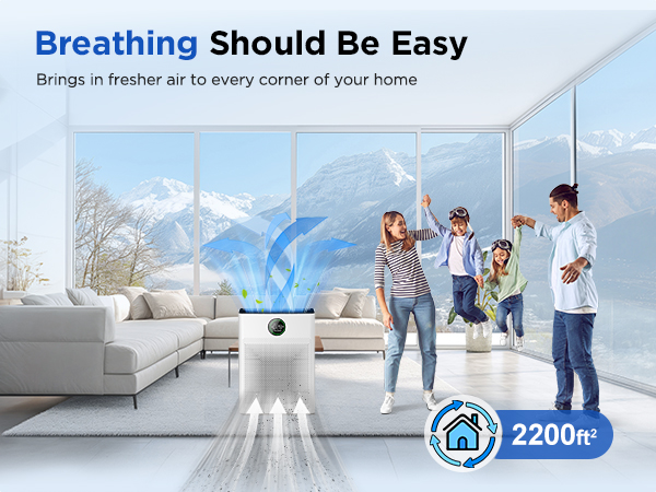 air purifier air purifiers for home large room pets air purifier with washable filter