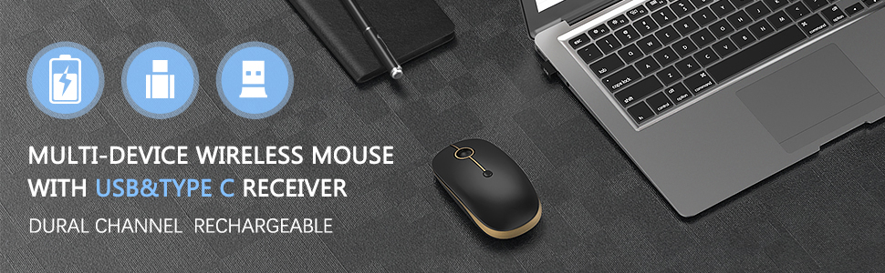 mouse