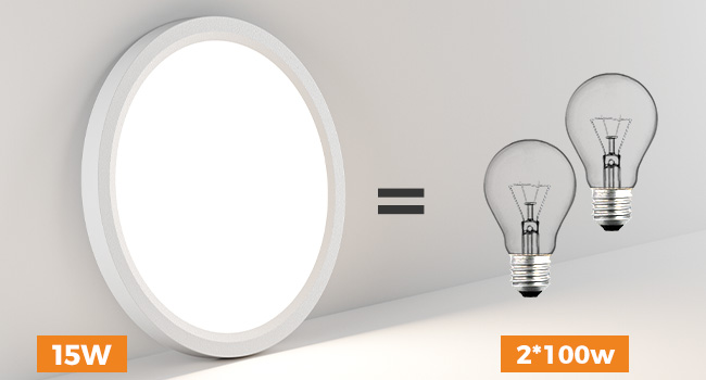 flush mount ceiling light