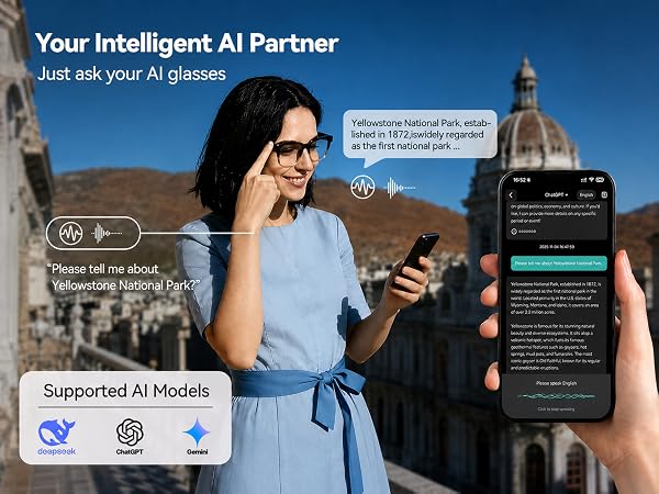 AI Assistant