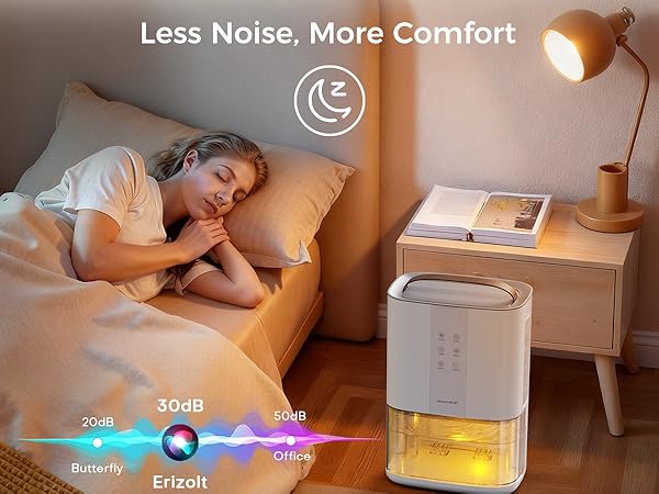 Dehumidifiers for Home