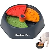 Dog Slow Feeder